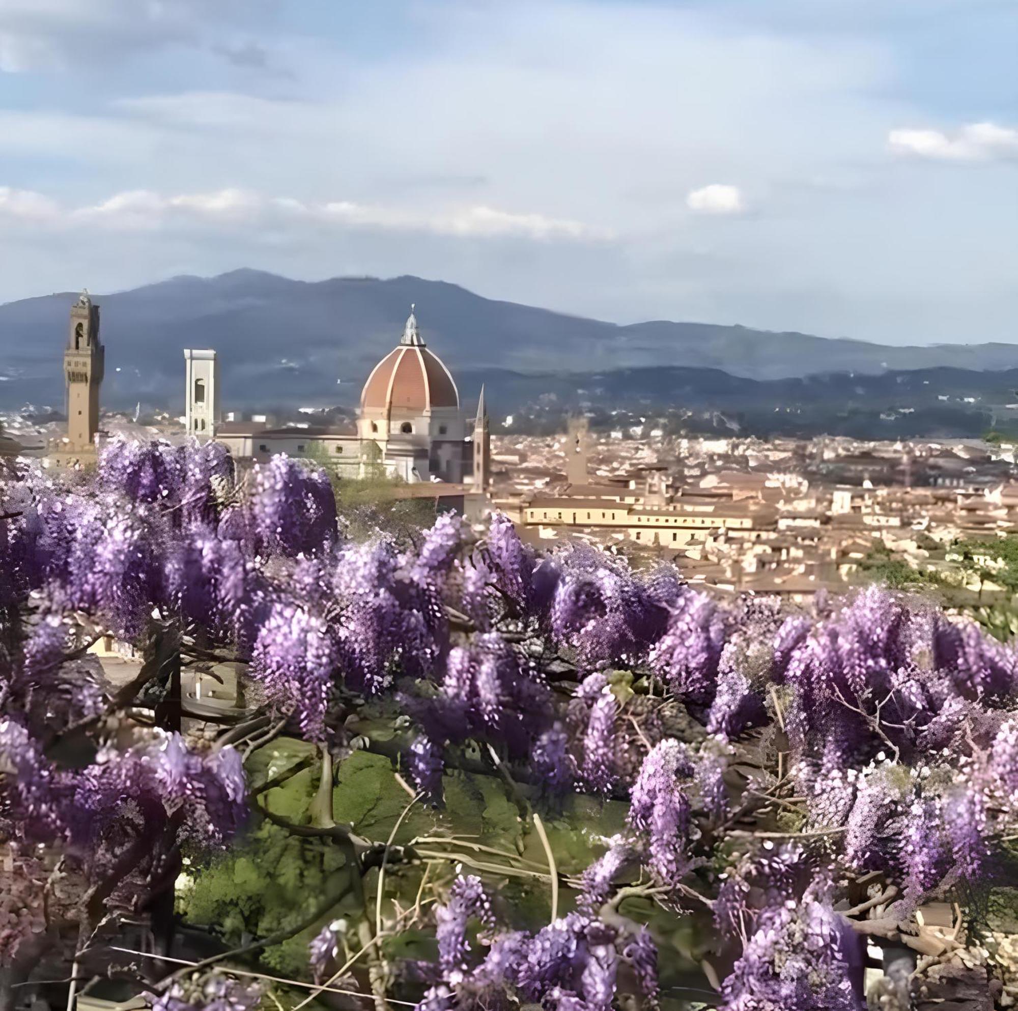 Costa San Giorgio, 65 - Gemma Incastonata A Pochi Passi Da Ponte Vecchio Apartment